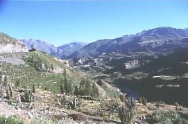 Colca Canyon