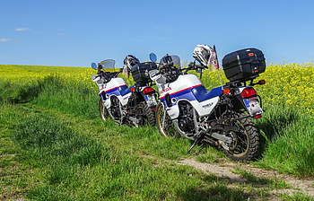 zwei Tri-Color Transalps im Rapsfeld