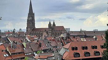 Blick auf das Freiburger Münster