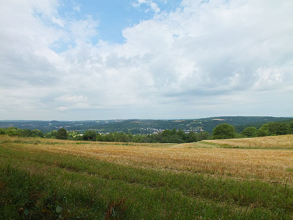 Blick über Wälder und Felder im Taunus