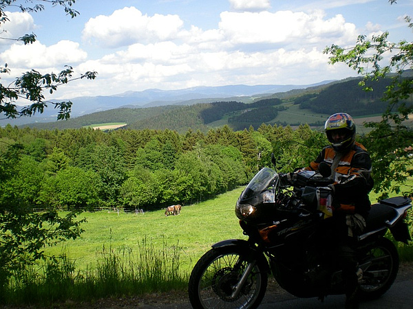ITT 2009 im Bayerischen Wald